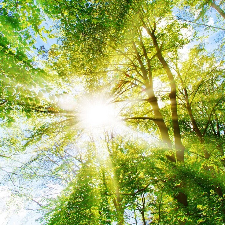 UK film and TV industry backs clean power plan